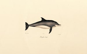  de Jacques Christophe Werner