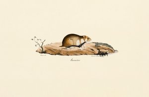  de Jacques Christophe Werner