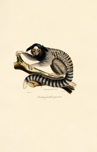  de Jacques Christophe Werner