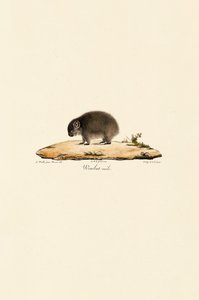  de Jacques Christophe Werner