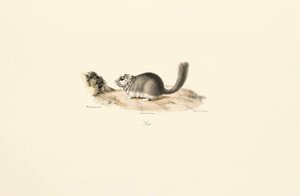  de Jacques Christophe Werner
