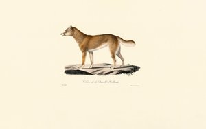  de Jacques Christophe Werner
