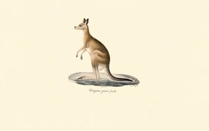  de Jacques Christophe Werner