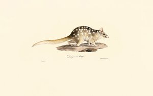  de Jacques Christophe Werner