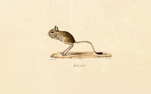  de Jacques Christophe Werner
