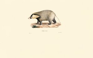  de Jacques Christophe Werner