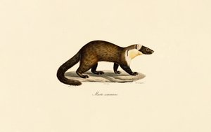  de Jacques Christophe Werner