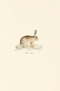  de Jacques Christophe Werner