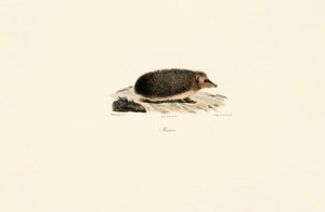  de Jacques Christophe Werner