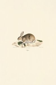  de Jacques Christophe Werner