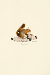  de Jacques Christophe Werner