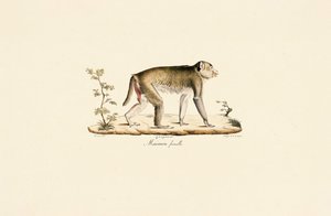  de Jacques Christophe Werner