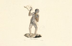  de Jacques Christophe Werner