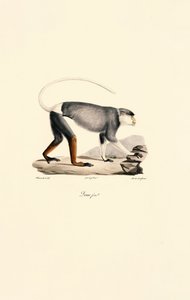  de Jacques Christophe Werner