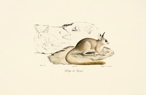  de Jacques Christophe Werner