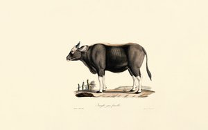  de Jacques Christophe Werner