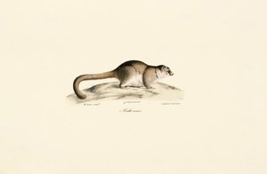  de Jacques Christophe Werner