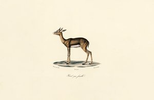  de Jacques Christophe Werner
