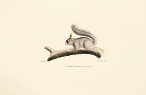  de Jacques Christophe Werner