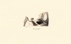  de Jacques Christophe Werner