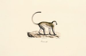  de Jacques Christophe Werner