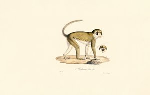  de Jacques Christophe Werner