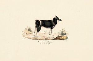  de Jacques Christophe Werner
