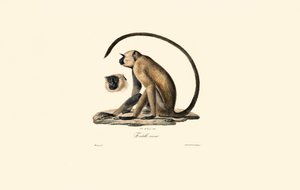  de Jacques Christophe Werner
