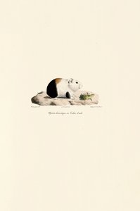  de Jacques Christophe Werner