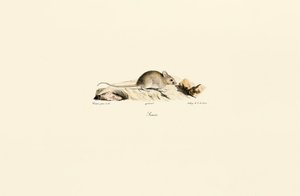  de Jacques Christophe Werner