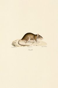  de Jacques Christophe Werner