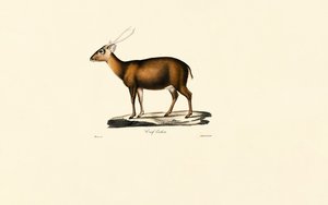  de Jacques Christophe Werner