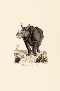  de Jacques Christophe Werner