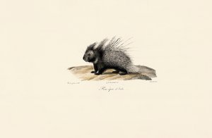  de Jacques Christophe Werner