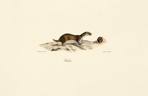  de Jacques Christophe Werner