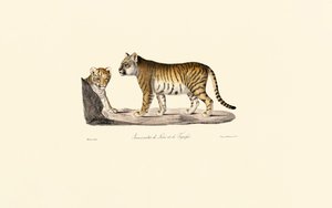  de Jacques Christophe Werner