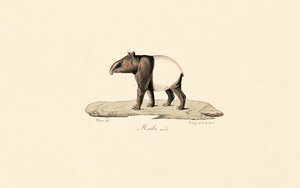  de Jacques Christophe Werner