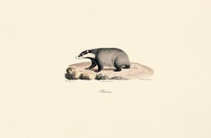  de Jacques Christophe Werner