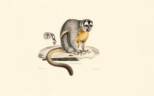  de Jacques Christophe Werner