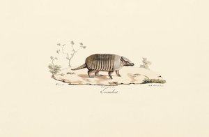 de Jacques Christophe Werner