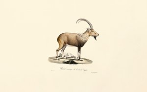  de Jacques Christophe Werner