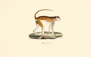  de Jacques Christophe Werner