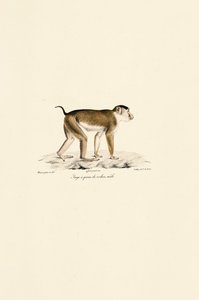  de Jacques Christophe Werner