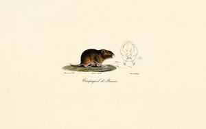 de Jacques Christophe Werner