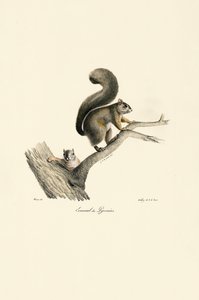  de Jacques Christophe Werner