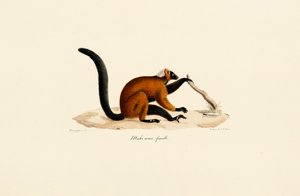  de Jacques Christophe Werner