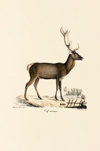  de Jacques Christophe Werner