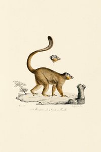  de Jacques Christophe Werner