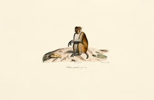  de Jacques Christophe Werner