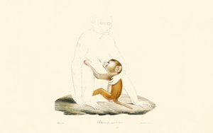  de Jacques Christophe Werner